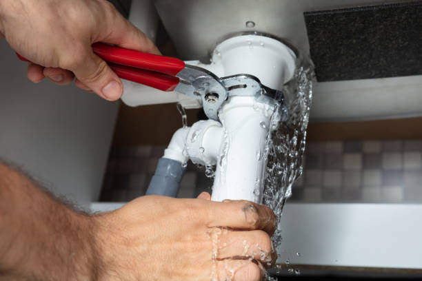 Best Mold removal after water damage  in Moonachie, NJ
