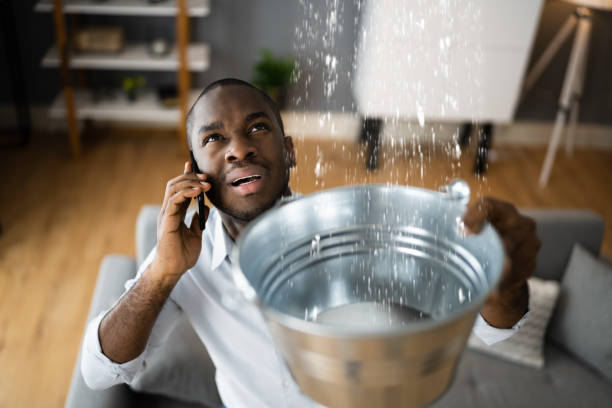 Best Local water damage restoration  in Moonachie, NJ