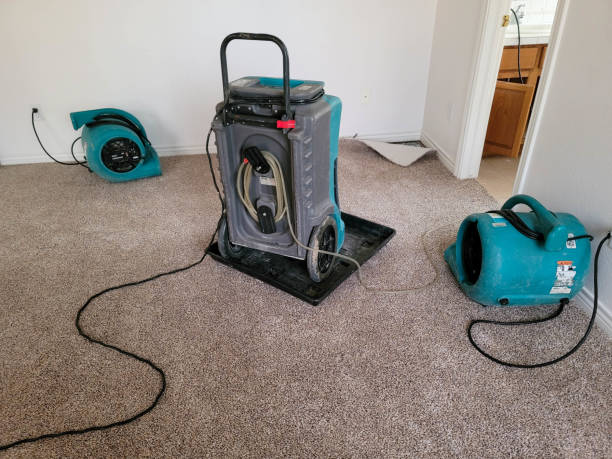 Best Professional water damage repair  in Moonachie, NJ