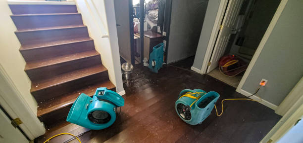 Best Flood damage cleanup  in Moonachie, NJ