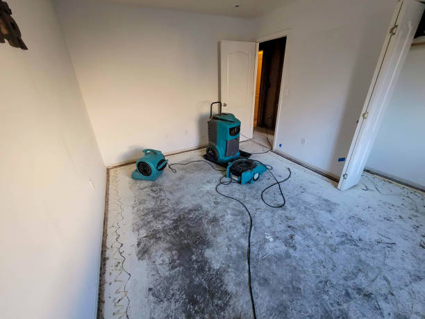 Best Water damage cleanup near me  in Moonachie, NJ