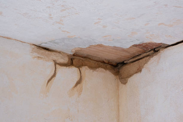 Best Ceiling water damage repair  in Moonachie, NJ