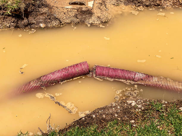 Best Sewage cleanup and water damage restoration  in Moonachie, NJ