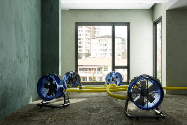 Best 24-hour water damage restoration  in Moonachie, NJ